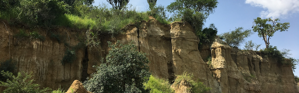 Nile Cliffs